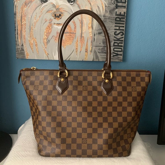 Louis Vuitton | Bags | Louis Vuitton Damier Ebene Saleya Mm | Poshmark